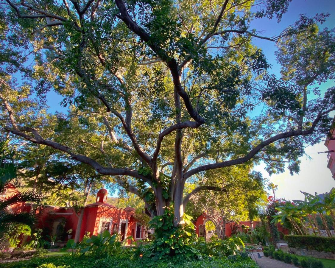 Hacienda De Los Santos Álamos Exterior foto